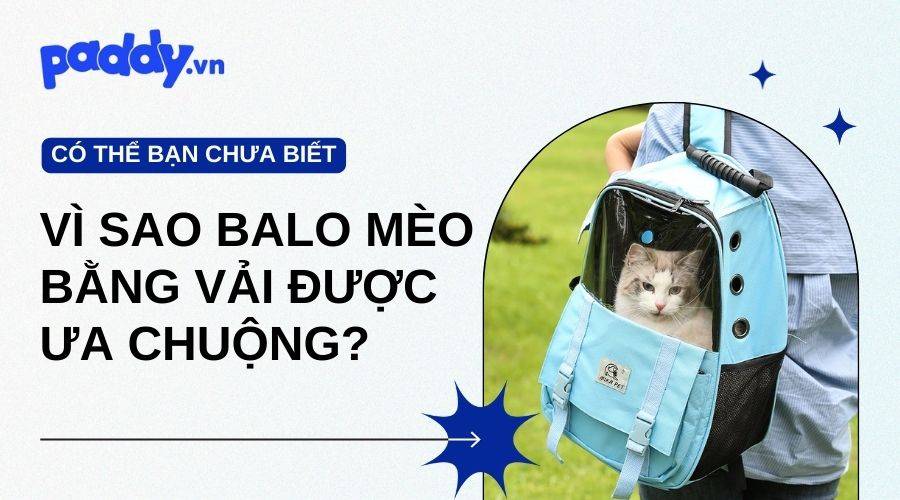 Vì Sao Balo Đựng Mèo Bằng Vải Được Ưa Chuộng Nhất?