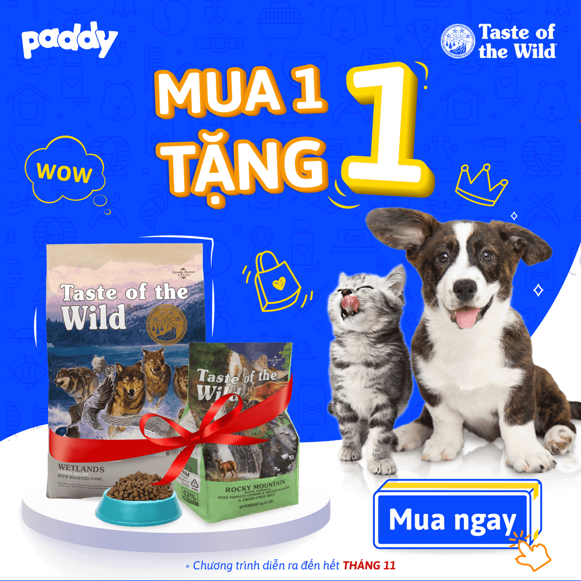 [MUA 1 TẶNG 1] Tất Cả Hạt Taste Of The Wild Chó Mèo