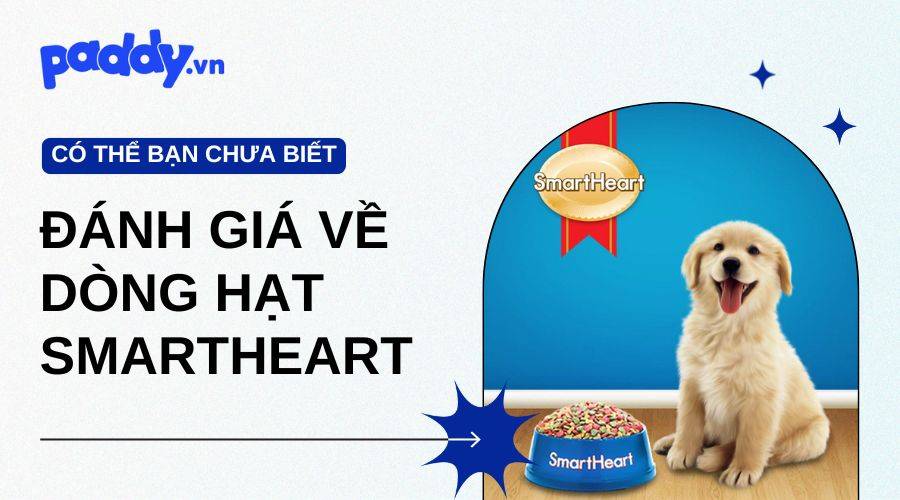 Đánh giá chung về dòng hạt Smartheart