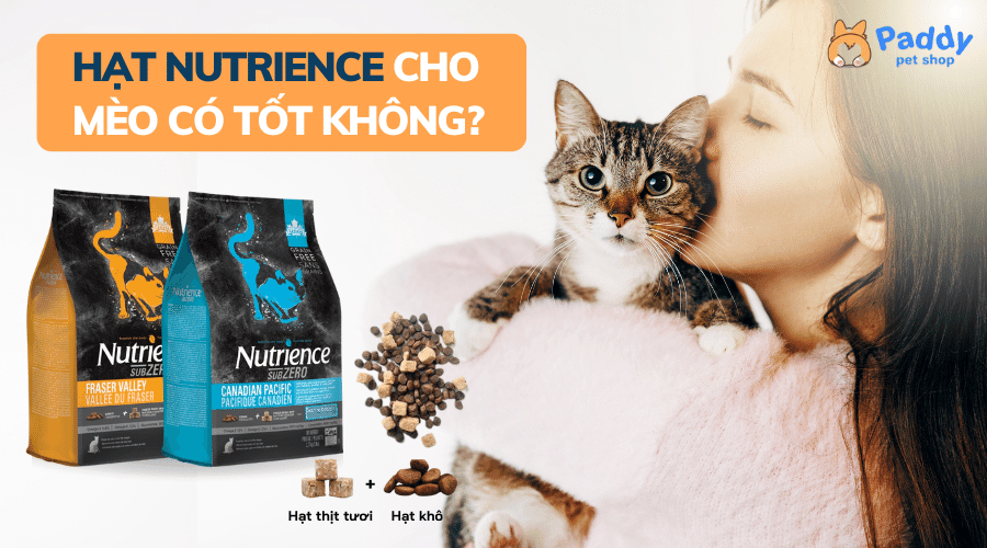 Thức ăn khô cho mèo hạt Nutrience có tốt không?