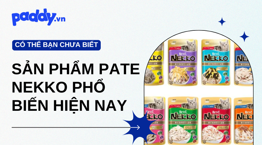 Các Dòng Sản Phẩm Pate Nekko Phổ Biến Hiện Nay