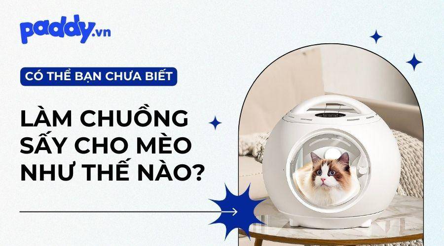 Cách làm chuồng sấy cho mèo hiệu quả