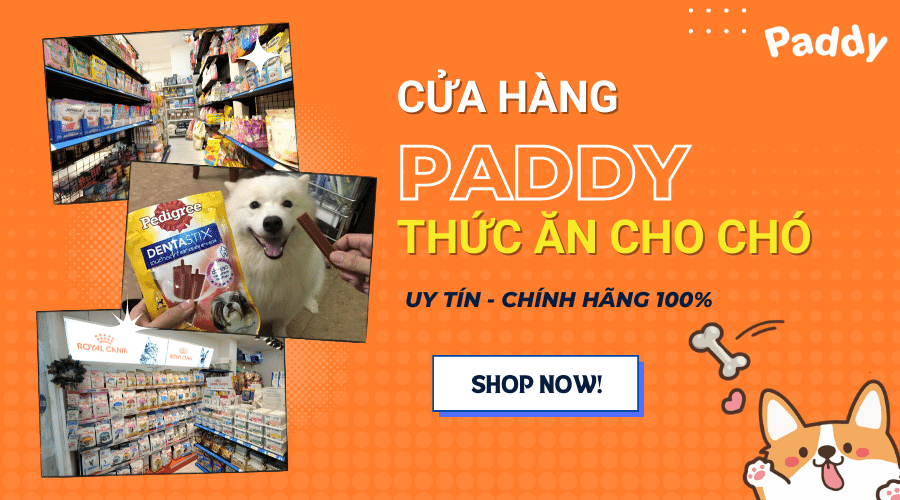 Cửa hàng thức ăn cho chó uy tín, chính hãng 100%