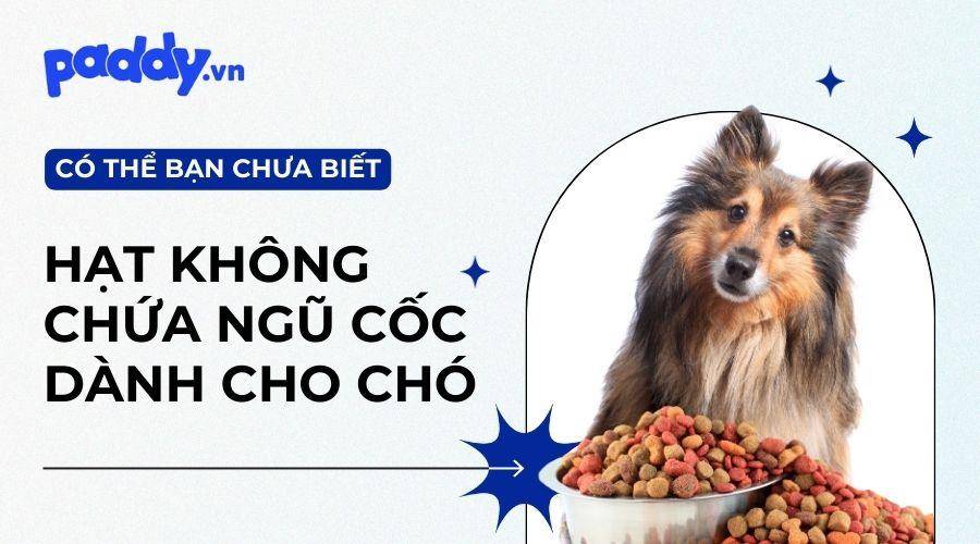 Top 3 Những Thức Ăn Hạt Cho Chó Không Chứa Ngũ Cốc