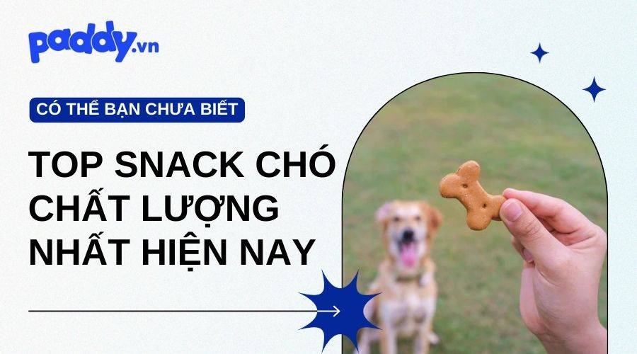 Snack Cho Chó Chất Lượng Nhất Hiện Nay