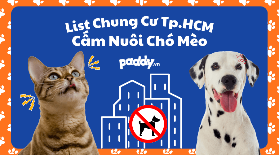 Danh Sách Các Chung Cư Cấm Nuôi Chó Mèo Tại TPHCM