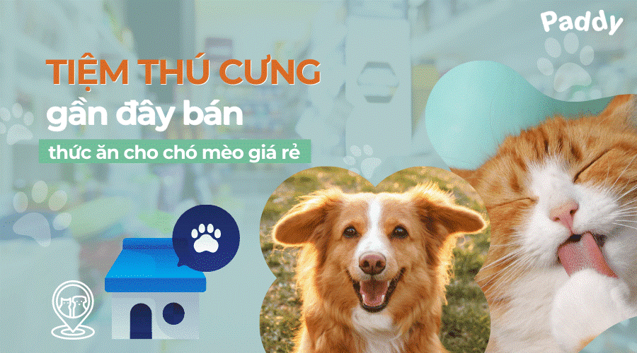 Tiệm thú cưng gần đây bán thức ăn cho chó mèo uy tín TPHCM