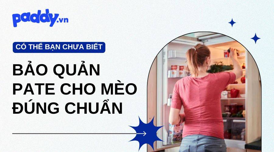 Cách Bảo Quản Pate Cho Mèo Đúng Chuẩn