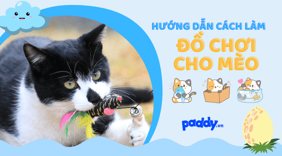 Hướng Dẫn Cách Làm Đồ Chơi Cho Mèo