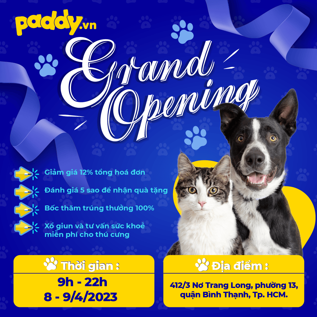 GRAND OPENING - PADDY GIẢM GIÁ 12% TƯNG BỪNG KHAI TRƯƠNG CỬA HÀNG THỨ 2 