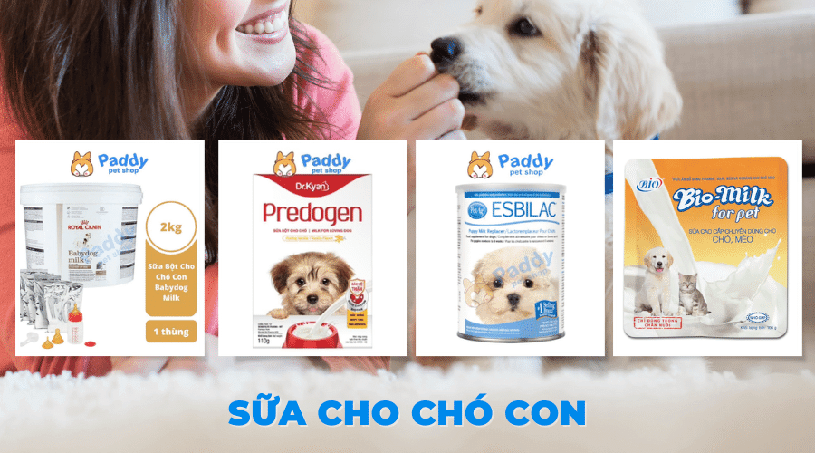 Kinh nghiệm chọn mua sữa chó con mà bạn nên biết