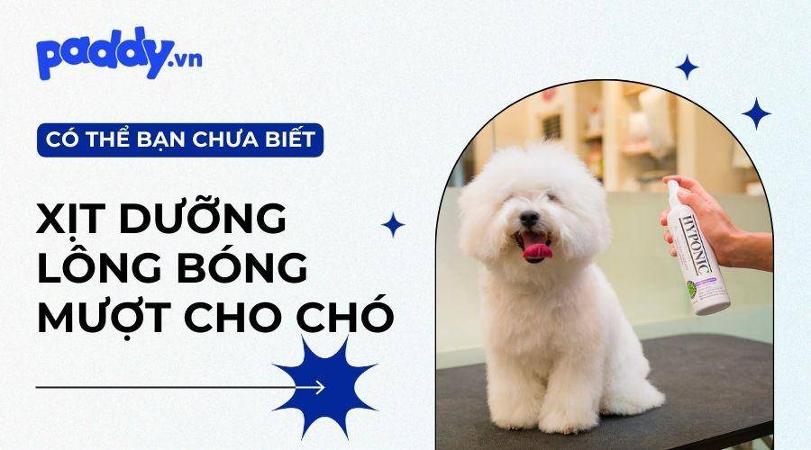Top 5 xịt dưỡng lông bóng mượt dành cho chó tốt nhất
