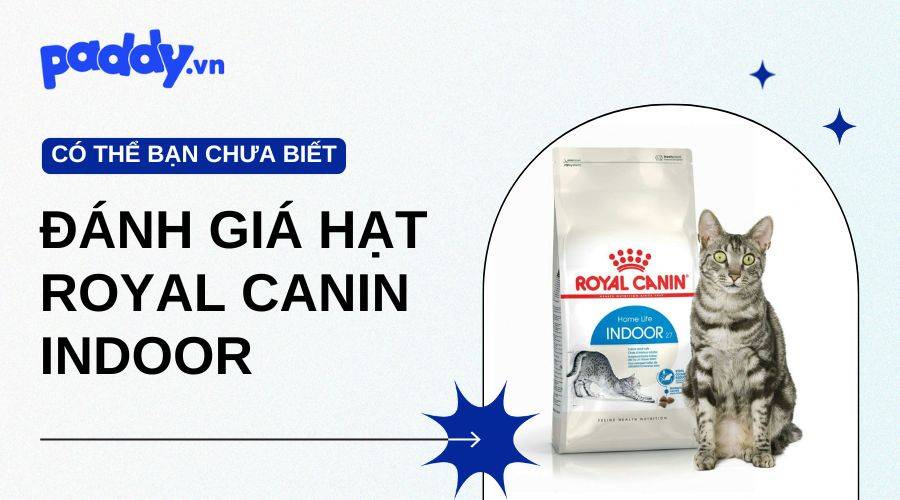 Đánh Giá Sản Phẩm Hạt Royal Canin Indoor Cho Chó Và Cho Mèo
