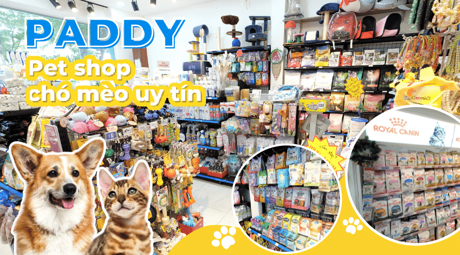Pet shop là gì? Địa chỉ pet shop chó mèo uy tín tại TP.HCM