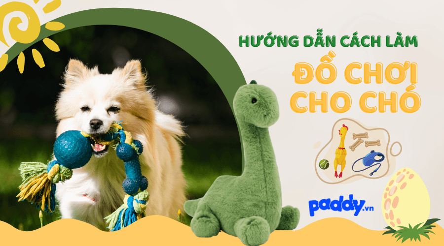 Cách Làm Đồ Chơi Cho Chó Đơn Giản Và Dễ Dàng