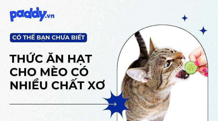 Top Thức Ăn Hạt Cho Mèo Có Chứa Chất Xơ, Rau Củ