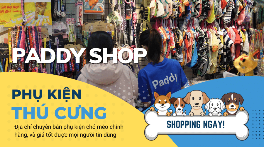 Shop phụ kiện thú cưng cho chó mèo chất lượng và giá tốt
