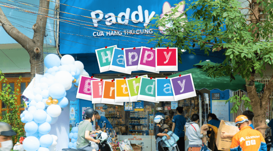 Tổng Kết Chuỗi Sự Kiện Mừng Sinh Nhật Paddy Lần 2