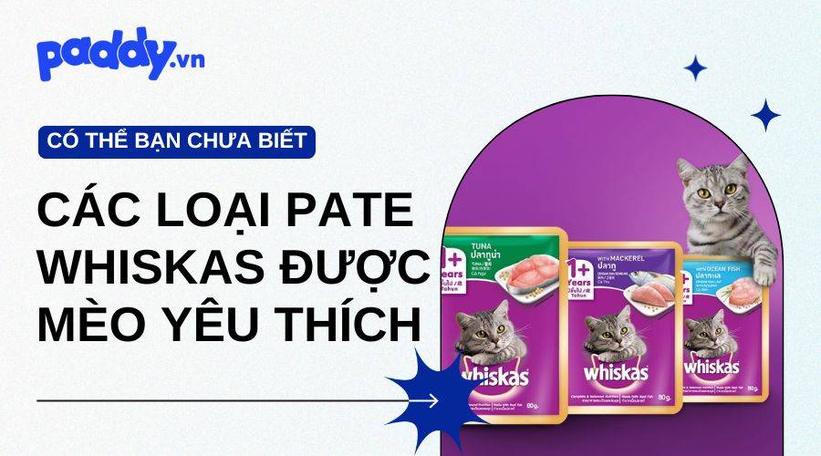 Tổng Hợp Các Loại Pate Whiskas Được Mèo Yêu Thích