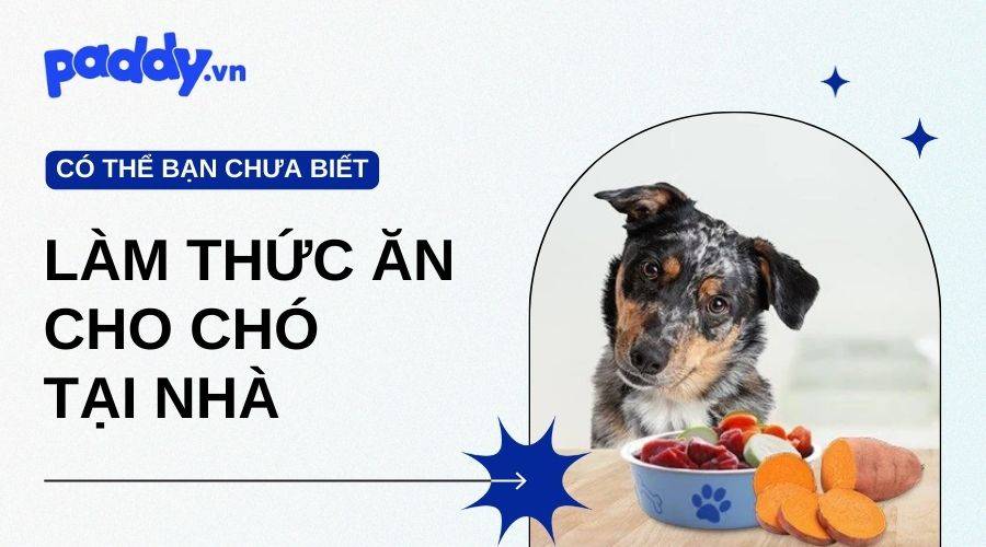 Cách Làm Thức Ăn Cho Chó Đơn Giản Tại Nhà