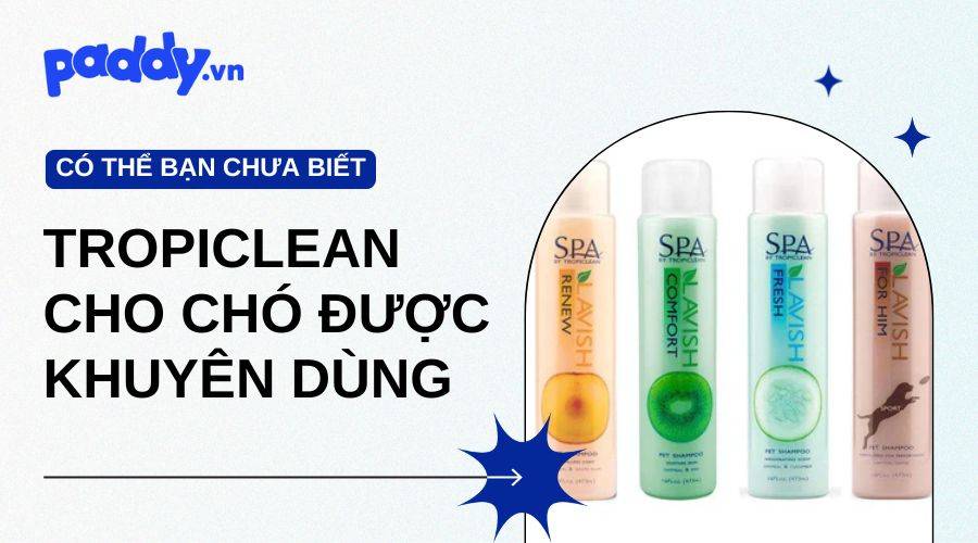 Sữa Tắm Tropiclean Được Các Chuyên Gia Thú Y Khuyên Dùng