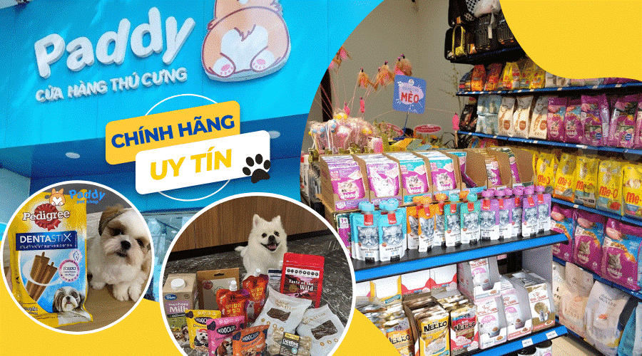 Shop thú cưng Paddy | Hàng chính hãng uy tín cho pet