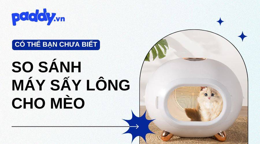 So Sánh Các Dòng Máy Sấy Lông Cho Mèo Tốt Nhất Hiện Nay
