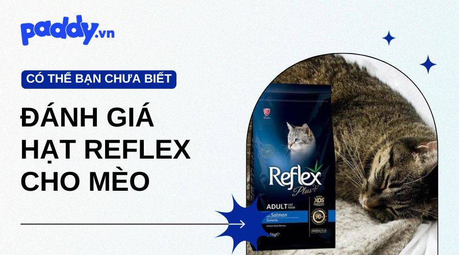 Đánh Giá Từng Loại Hạt Reflex Cho Mèo
