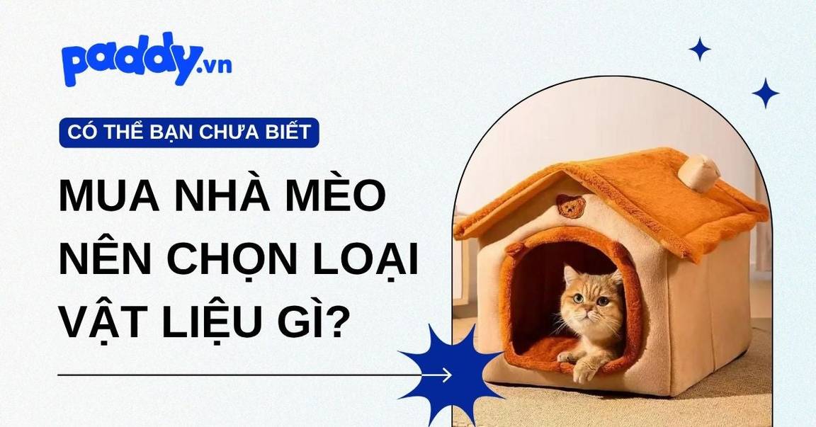 Mua nhà cho mèo nên chọn loại vật liệu gì?