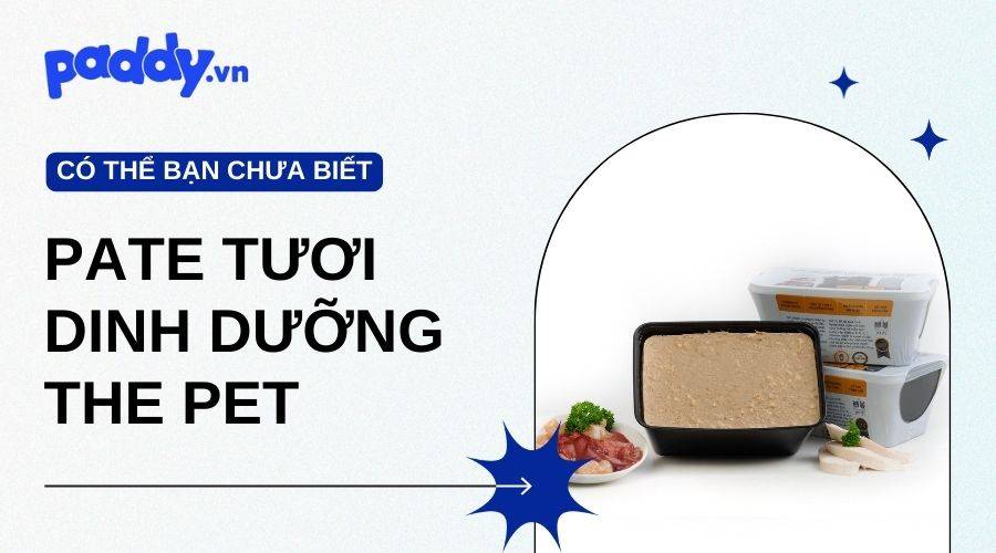 Lựa Chọn Dinh Dưỡng Cho Thú Cưng Với Pate Tươi The Pet