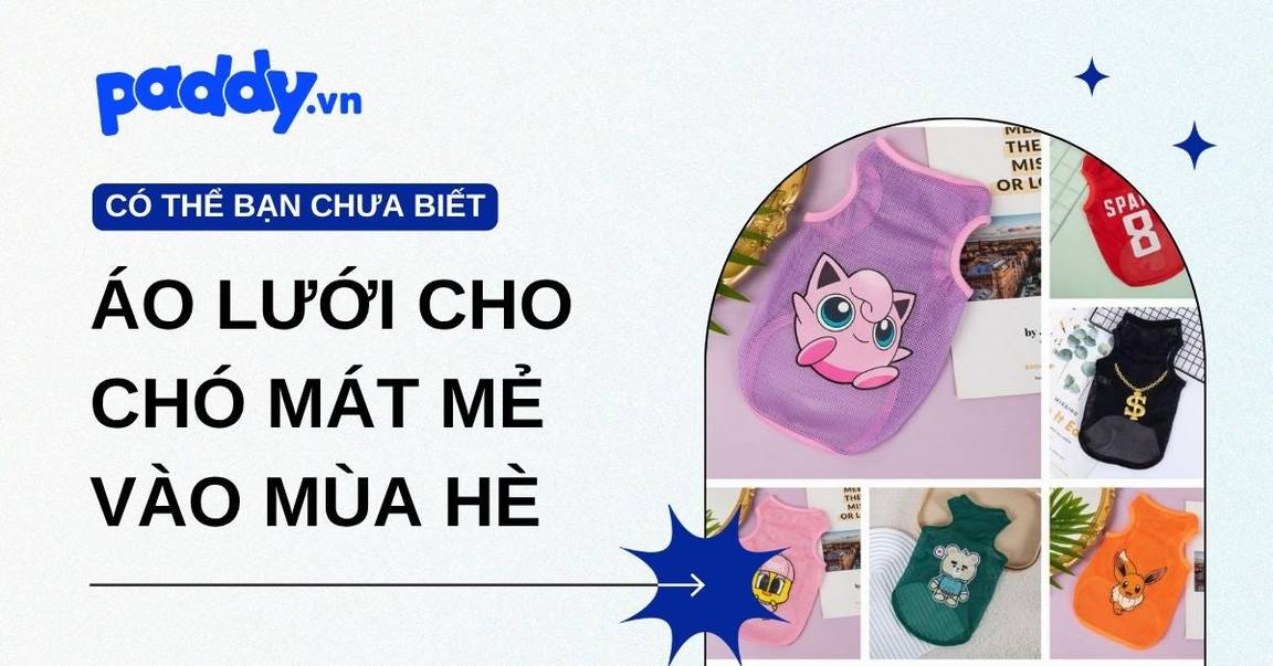 Các mẫu áo lưới cho chó mát mẻ mùa hè được ưa chuộng