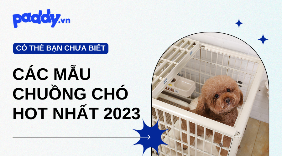 Các Mẫu Chuồng Chó Hot Nhất Năm 2023
