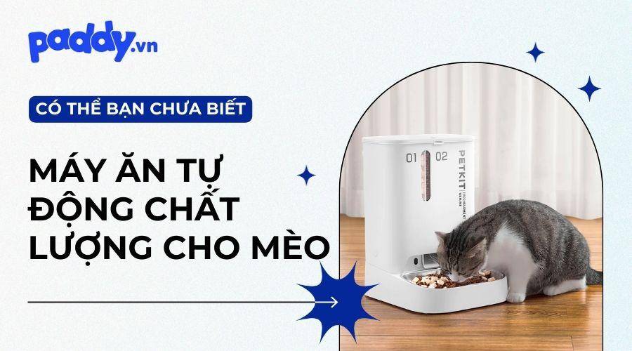 Tip Lựa Chọn Máy Ăn Tự Động Cho Mèo Chất Lượng