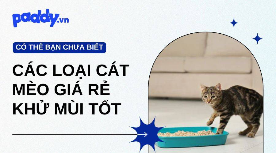 Các Loại Cát Mèo Giá Rẻ Khử Mùi Tốt