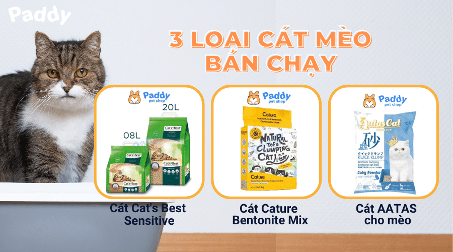 Cách chọn cát mèo khử mùi tốt, đảm bảo vệ sinh cho không gian nhà