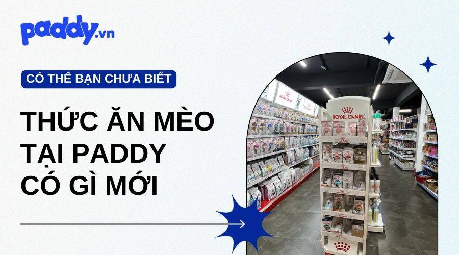 Cửa Hàng Thức Ăn Cho Mèo Paddy Có Gì Mới