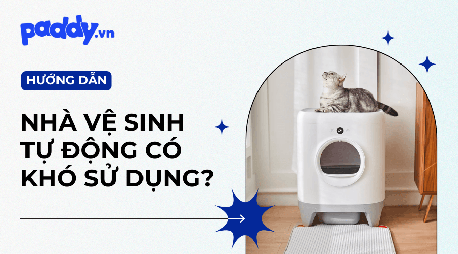 Hướng Dẫn Sử dụng Nhà Vệ Sinh Tự Động Cho Mèo