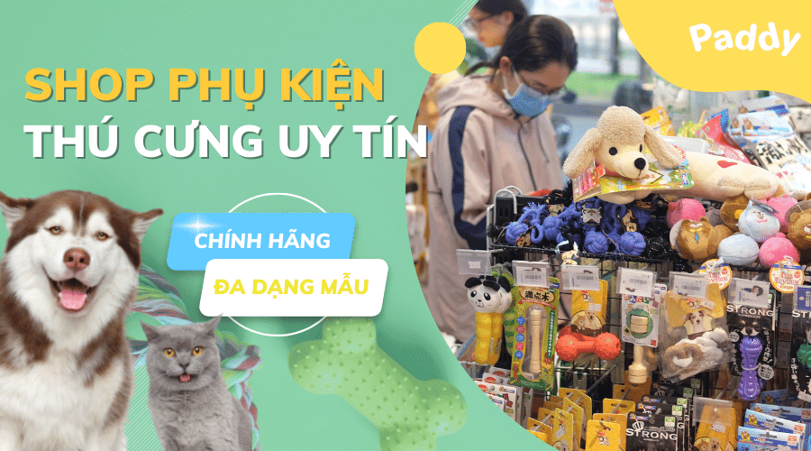 Shop phụ kiện thú cưng cho chó mèo đa dạng mẫu mã mới nhất