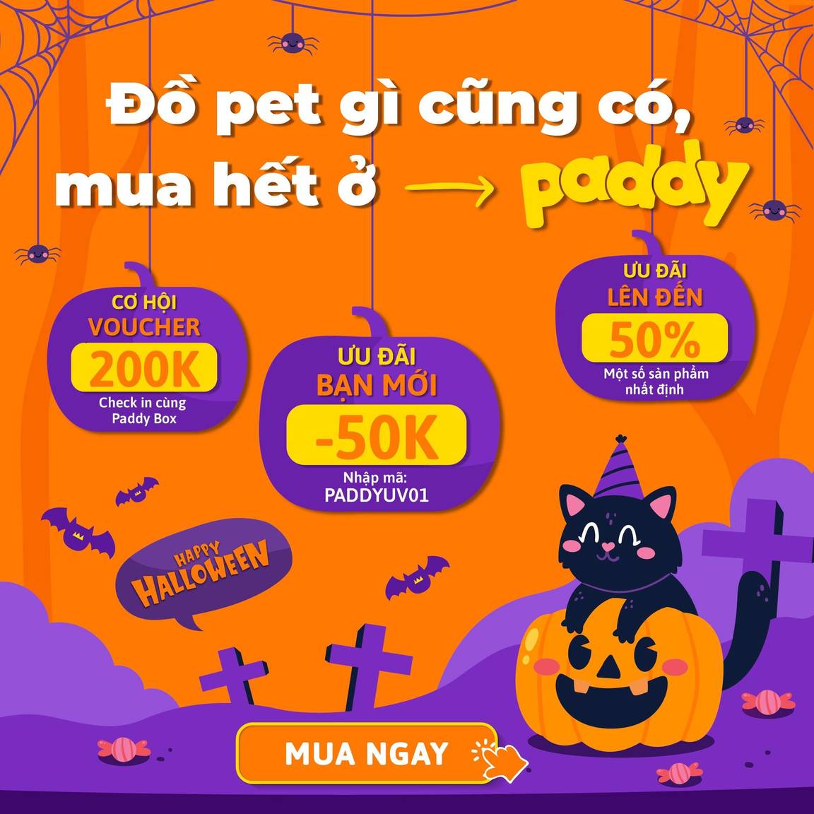 PADDY GIẢM GIÁ ĐẾN 50% VÀ NHIỀU QUÀ TẶNG HẤP DẪN