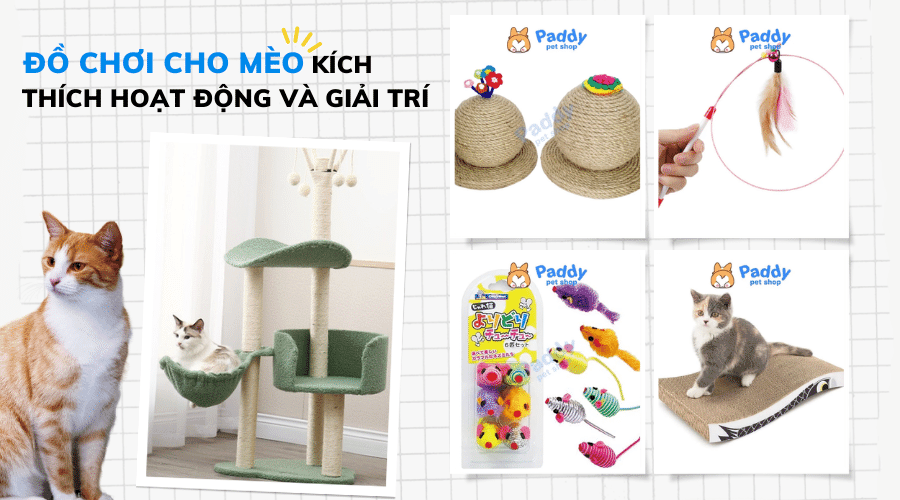 Top 5 loại đồ chơi cho mèo kích thích bé hoạt động và giảm stress
