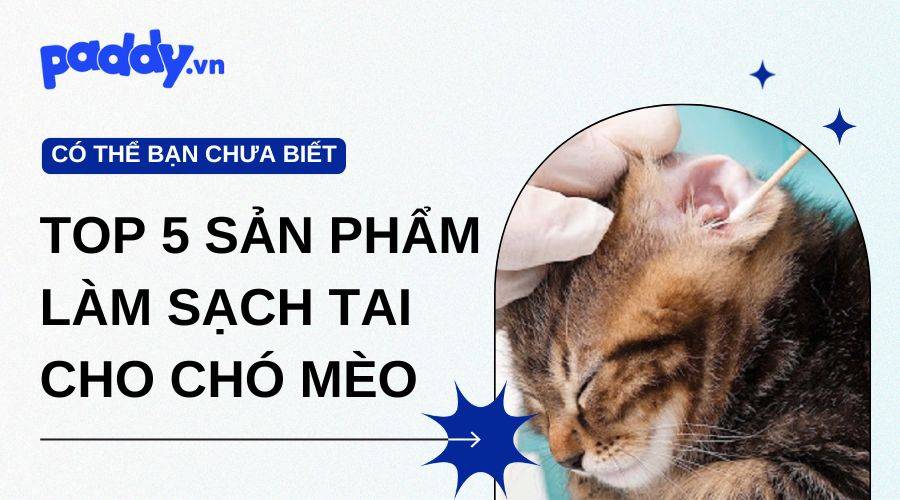 Top 5 Sản Phẩm Nhỏ Làm Sạch Tai Cho Chó Mèo Tốt Nhất