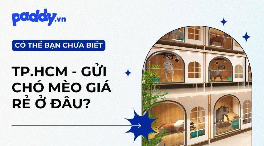 Dịch Vụ Gửi Chó Mèo Giá Rẻ Tại TPHCM