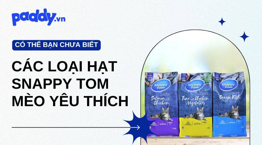 Tổng Hợp Các Loại Hạt Snappy Tom Được Mèo Yêu Thích