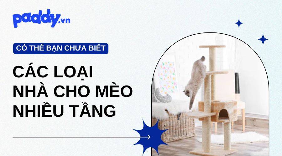 Các Loại Nhà Cho Mèo Nhiều Tầng [Đẹp - Bền bỉ]