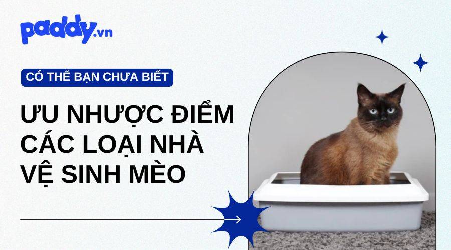 Ưu Và Nhược Điểm Của Các Loại Nhà Vệ Sinh Mèo