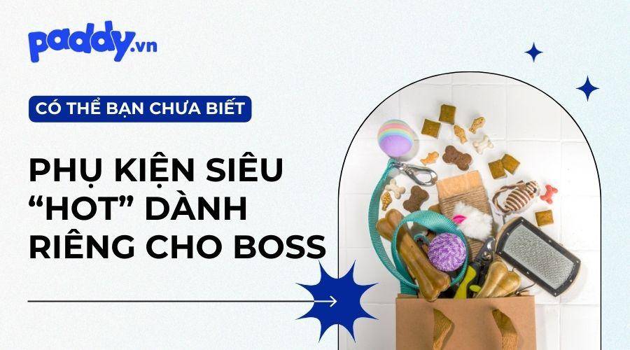 Các Loại Phụ Kiện Chó Mèo Mà Boss Cưng Không Thể Thiếu