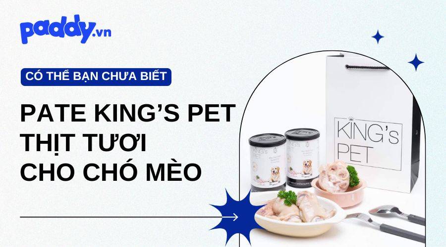Pate King’s Pet Thịt Tươi Cho Chó Mèo Mọi Lứa Tuổi