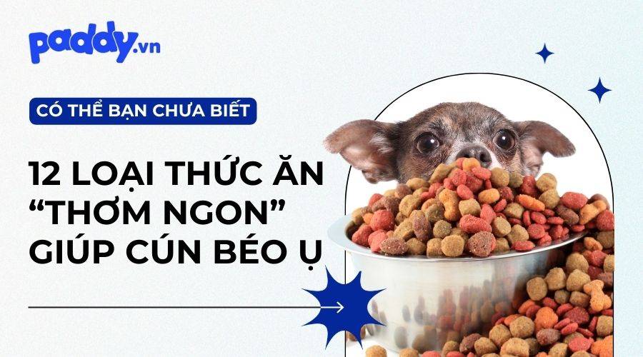 TOP 12 hãng thức ăn cho chó bổ dưỡng được yêu thích nhất