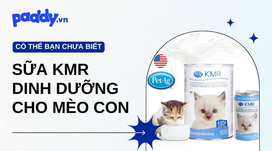 Sữa KMR thay thế sữa mèo mẹ, bổ sung đủ chất cho mèo con