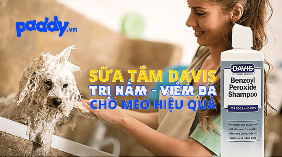 Sữa Tắm Davis Hỗ Trợ Điều Trị Nấm & Viêm Da Cho Chó Mèo